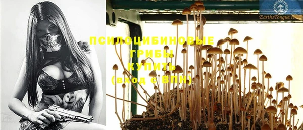 тгк Семикаракорск